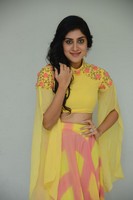 Dhanya Balakrishna New Photo Images